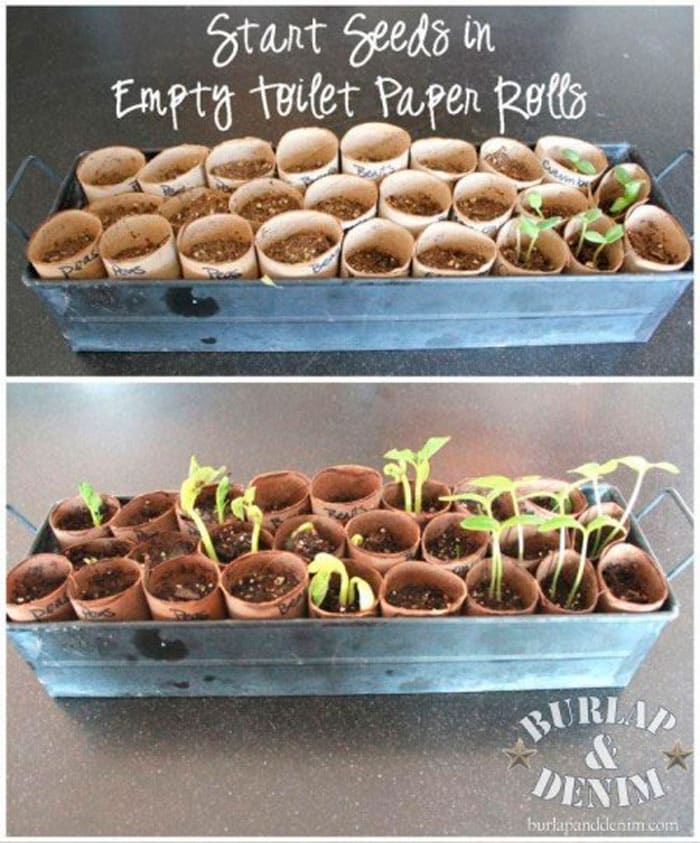 Start seeder with toilet paper rolls | Reuse & recycle | DIY | Via www.seethings.net