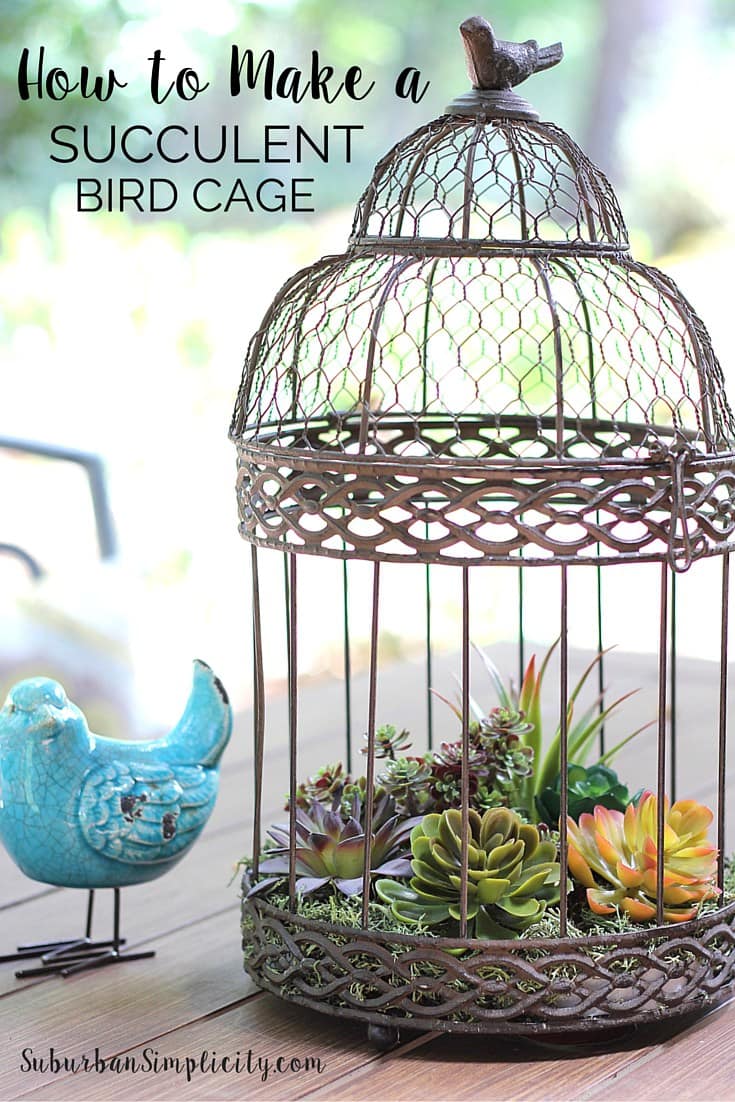 Decorate-with-Succulents-in-Birdcage