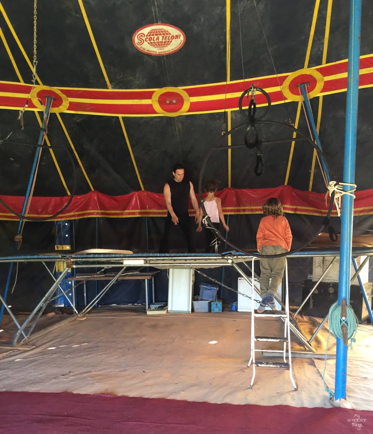 What to do in summer in Mallorca - Circus
