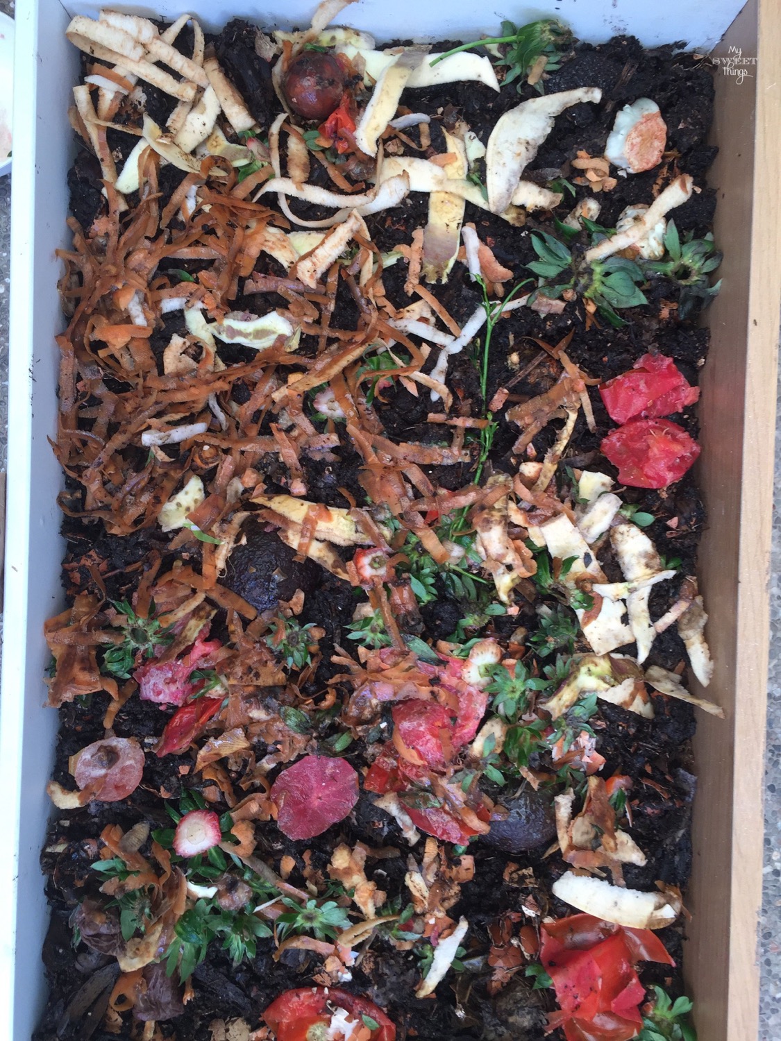 DIY Worm Compost Bin for vermicomposting · Via www.sweethings.net #compost #hummus #compostin #vermicomposting