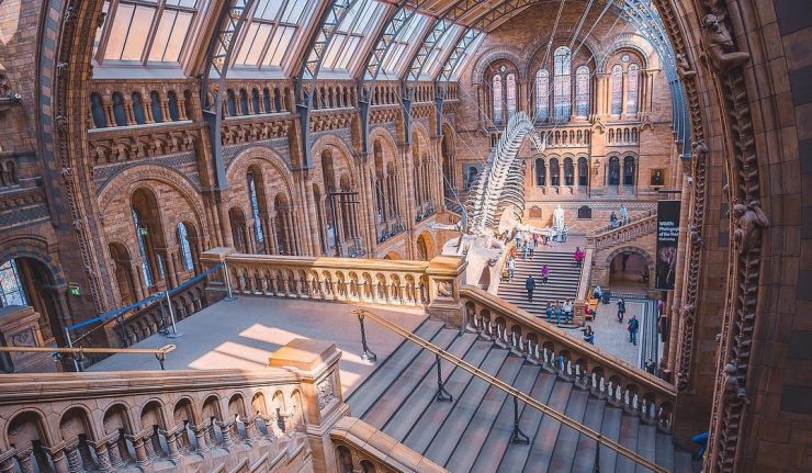 Guide to London · Natural History Museum London · The Natural History Museum