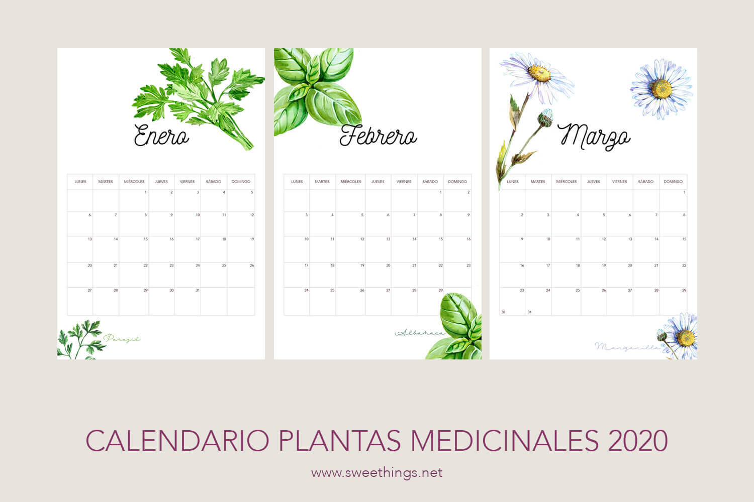 Featured image of post Plantas Para Imprimir Gratis Descarga gratis del arbol familiar esquemas y fichas para genealogia