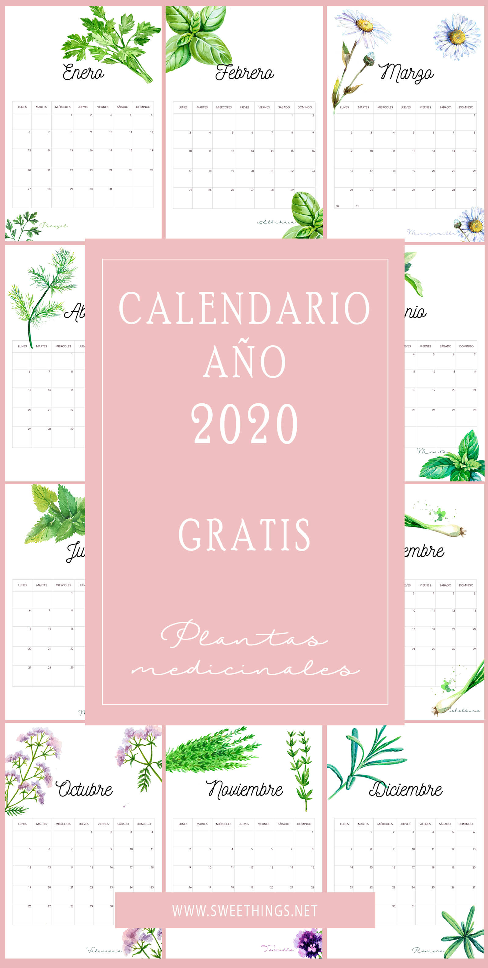 Calendario 2020 plantas gratis para descargar · Via www.sweethings.net
