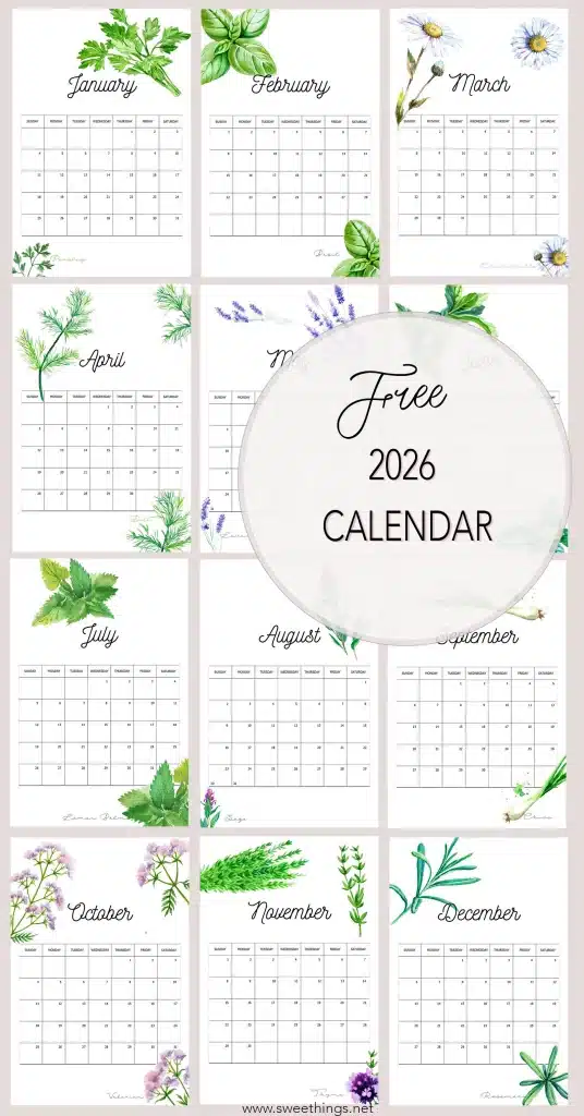 Free 2026 Calendar to Download